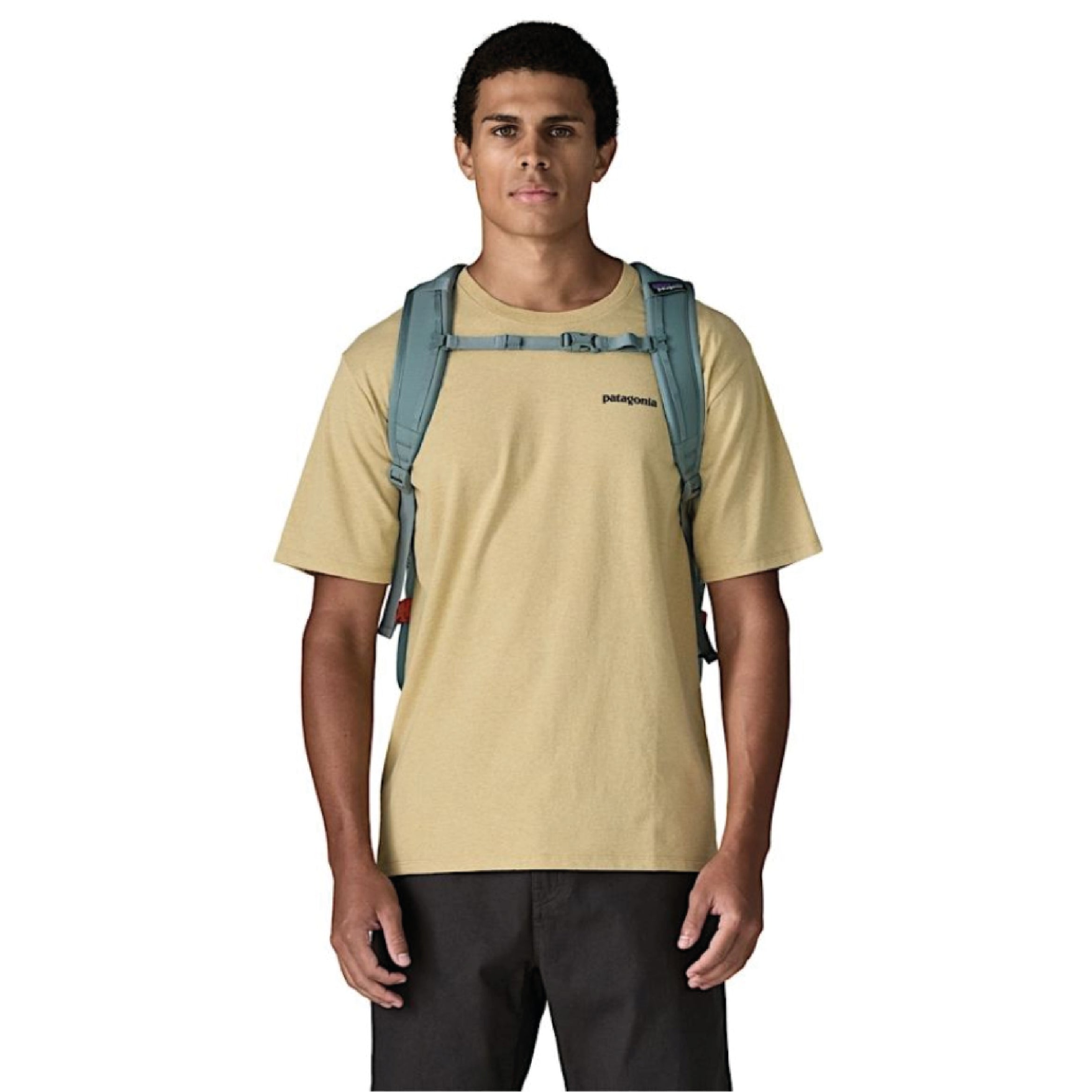 Refugio Daypack 26L - Blue Sage
