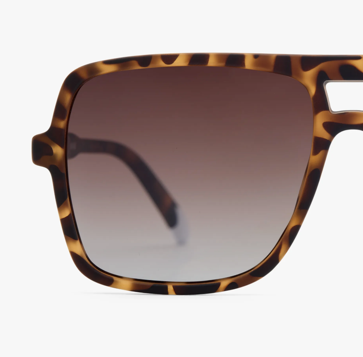 Jake Matte - Tortoise Sun with classic tortoiseshell pattern by Barner.
