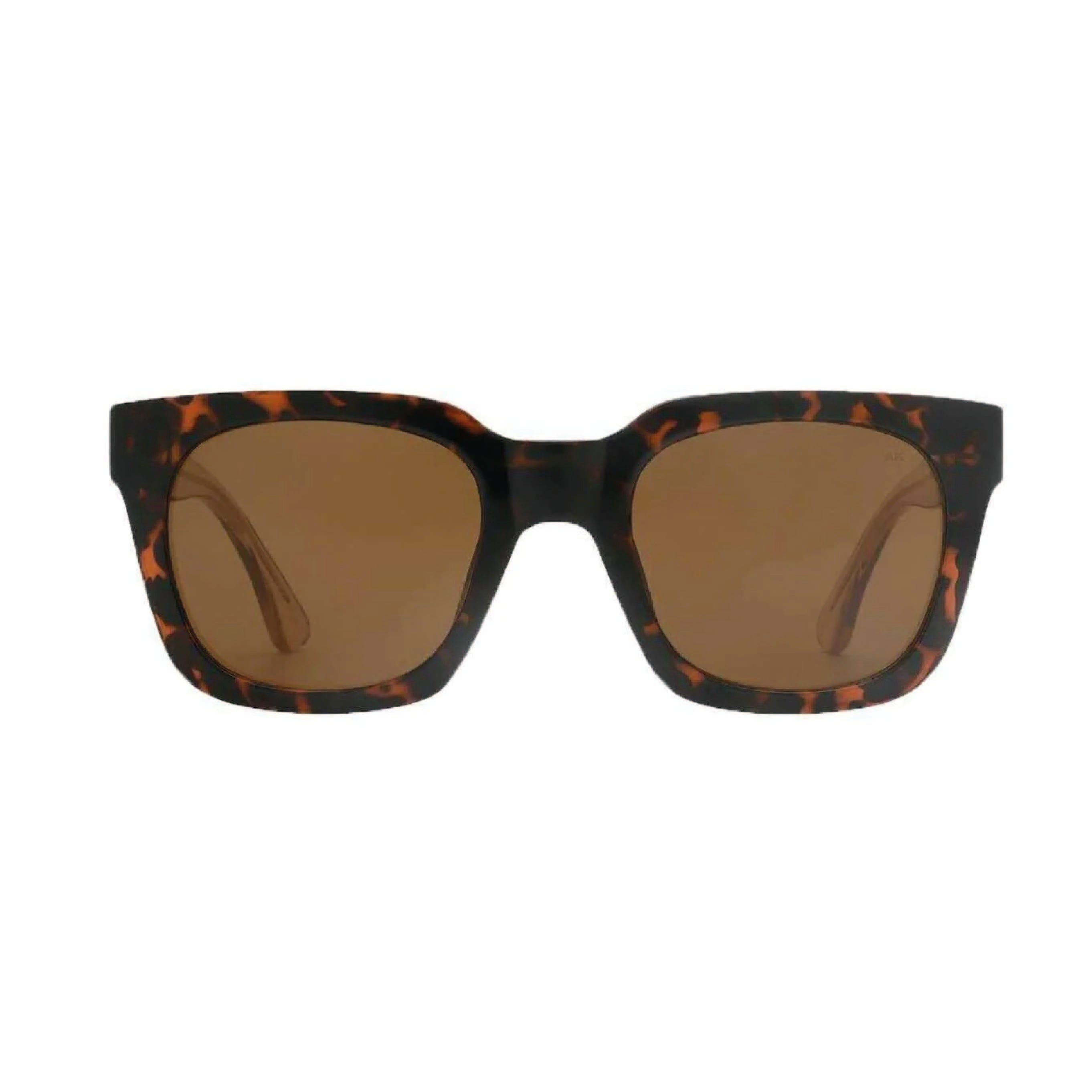 Nancy - Demi Tortoise