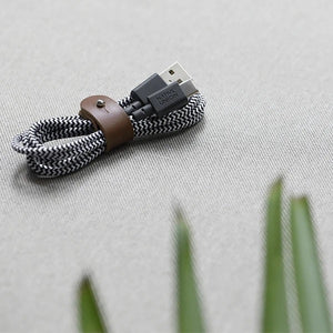 Native Union Belt Cable USB-C to USB-A - Zebra - Burrows and Hare