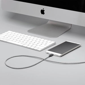 Native Union Belt Cable USB-C to USB-A - Zebra - Burrows and Hare
